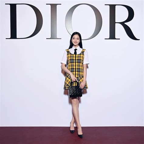 dior show korea|Dior kr.